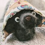 puu